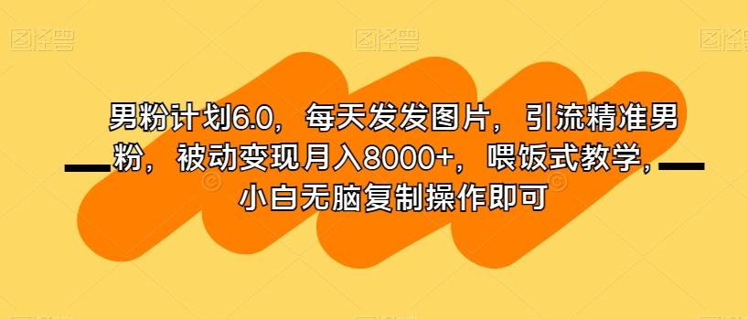 男粉计划6.0，每天发发图片，引流精准男粉，被动变现月入8000+，喂饭式教学，小白无脑复制操作即可-氚客吧