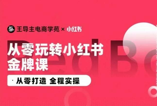 王导主·小红书电商运营实操课，​从零打造  全程实操-氚客吧