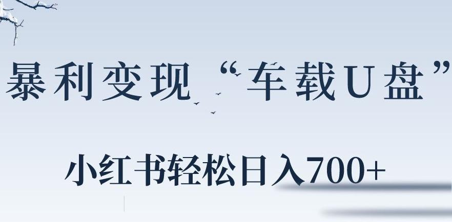 小红书“车载U盘”暴利引流，日入700+-氚客吧