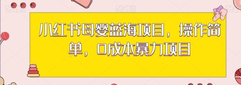 小红书母婴蓝海项目，操作简单，0成本暴力项目-氚客吧