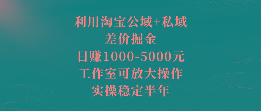 利用淘宝公域+私域差价掘金，日赚1000-5000元，工作室可放大操作，实操…-氚客吧