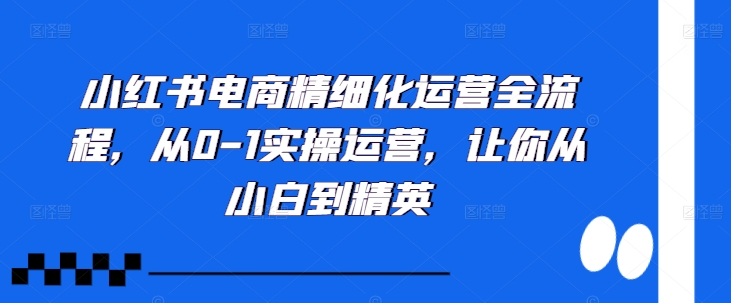 小红书电商精细化运营全流程，从0-1实操运营，让你从小白到精英-氚客吧
