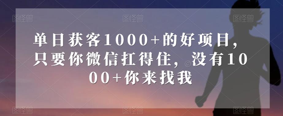 单日获客1000+的好项目，只要你微信扛得住，没有1000+你来找我【揭秘】-氚客吧