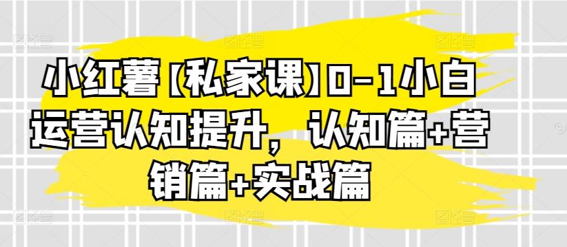 小红薯【私家课】0-1小白运营认知提升，认知篇+营销篇+实战篇-氚客吧