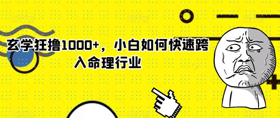 玄学狂撸1000+，小白如何快速跨入命理行业-氚客吧