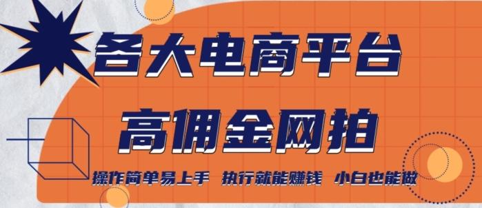 各大电商平台高佣金网拍，操作简单易上手，执行就能赚钱，小白也能做-氚客吧