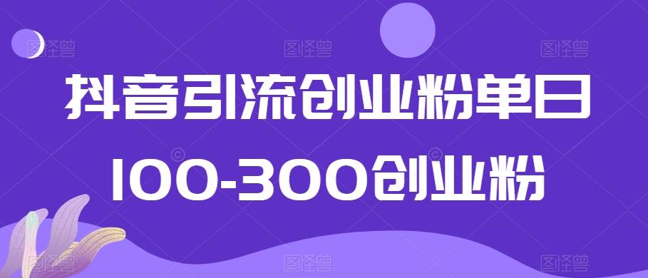 抖音引流创业粉单日100-300创业粉【揭秘】-氚客吧