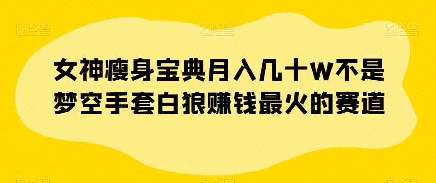 女神瘦身宝典月入几十W不是梦空手套白狼赚钱最火的赛道【揭秘】-氚客吧