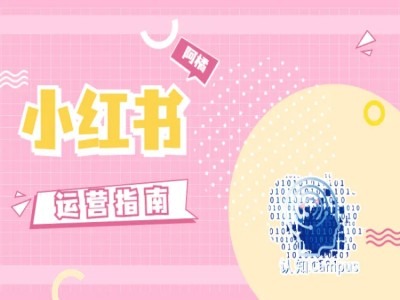 小红书运营指南，没有套路，全是经验-氚客吧