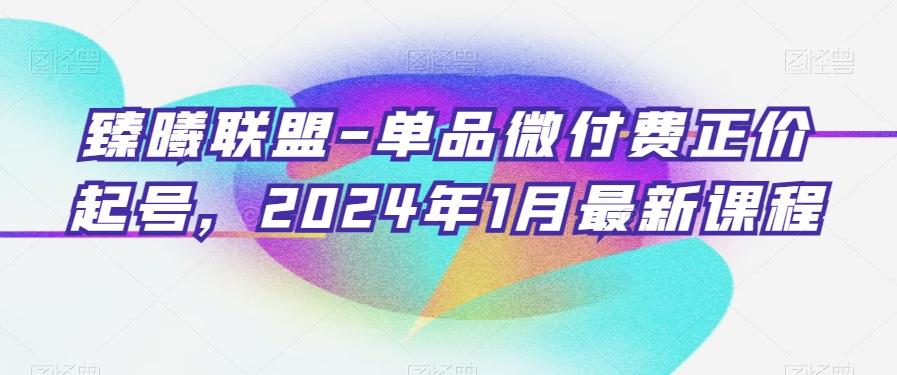 臻曦联盟-单品微付费正价起号，2024年1月最新课程-氚客吧