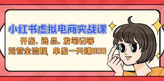 小红书虚拟电商实战课：开店、选品、发笔记等运营全流程，单店一天赚800-氚客吧