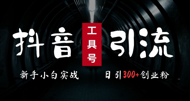 2024最新抖音工具号引流玩法，高效日引300+创业粉，当天变现5k，小白也可成为实战高手-氚客吧