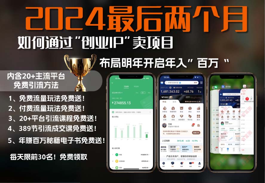 2024最后两个月如何通过”创业IP“卖项目年入”百万“,创业IP+最强引流…-氚客吧