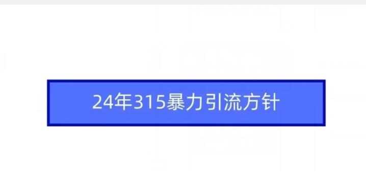 24年315暴力引流方针-氚客吧