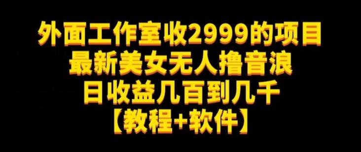 外面工作室收2999的项目最新美女无人撸音浪日收益几百到几千【教程+软件】（仅揭秘）-氚客吧