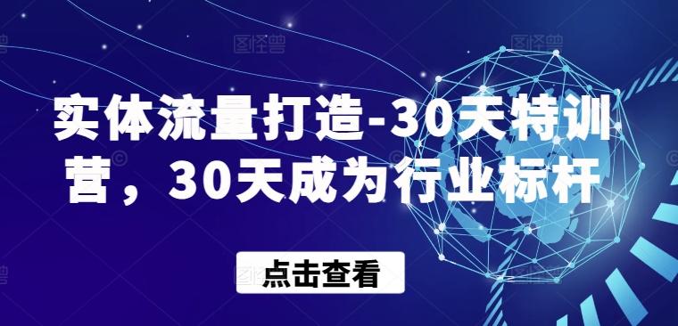 实体流量打造-30天特训营，30天成为行业标杆-氚客吧