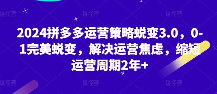 2024拼多多运营策略蜕变3.0，0-1完美蜕变，解决运营焦虑，缩短运营周期2年+-氚客吧