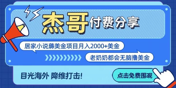 拆解海外撸美金项目月入2000美刀详细指导-氚客吧