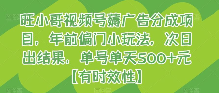 旺小哥视频号薅广告分成项目，年前偏门小玩法，次日出结果，单号单天500+元【有时效性】-氚客吧