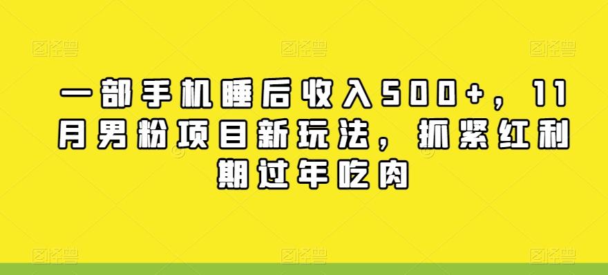 一部手机睡后收入500+，11月男粉项目新玩法，抓紧红利期过年吃肉-氚客吧