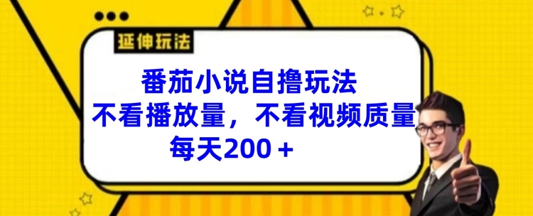 番茄小说自撸玩法，不看播放量，不看视频质量，每天200+【揭秘】-氚客吧