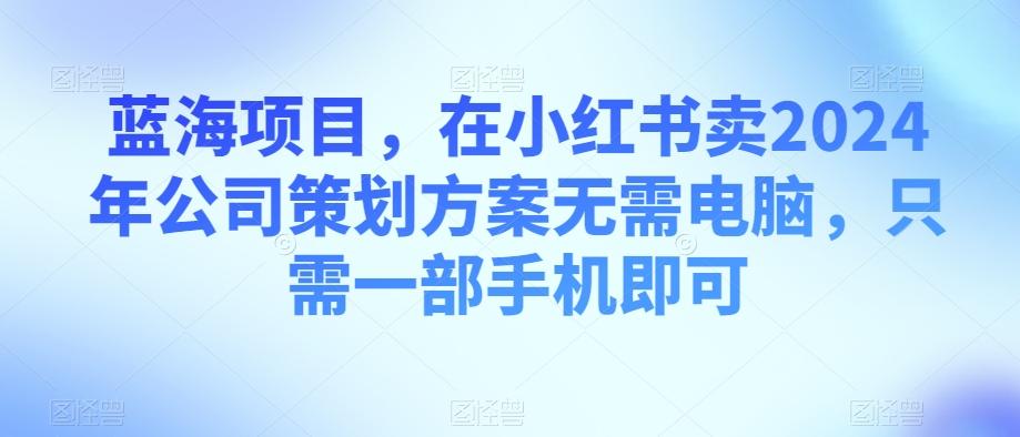 蓝海项目，在小红书卖2024年公司策划方案无需电脑，只需一部手机即可-氚客吧