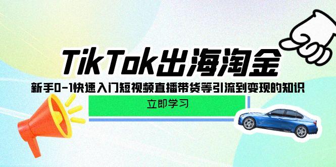 (10035期)TikTok-出海淘金，新手0-1快速入门短视频直播带货等引流到变现的知识-氚客吧