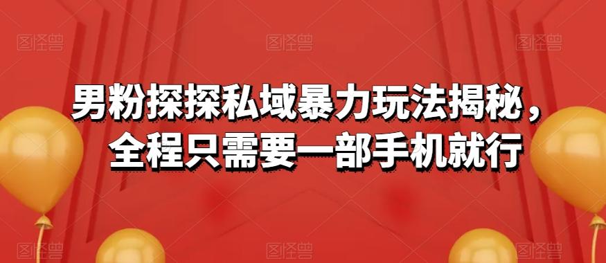男粉探探私域暴力玩法揭秘，全程只需要一部手机就行-氚客吧