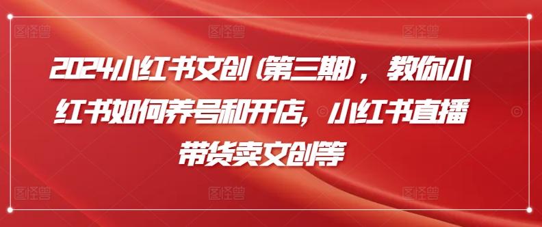 2024小红书文创(第三期)，教你小红书如何养号和开店，小红书直播带货卖文创等-氚客吧