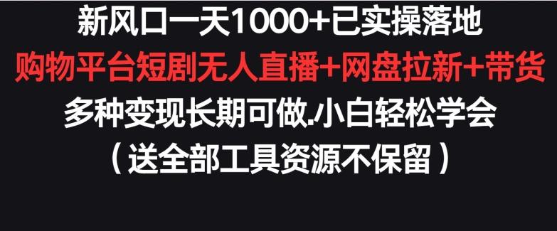 新风口一天1000+已实操落地购物平台短剧无人直播+网盘拉新+带货多种变现长期可做【揭秘】-氚客吧