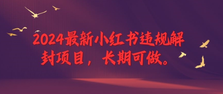 2024最新小红书违规解封项目，长期可做，一个可以做到退休的项目【揭秘】-氚客吧