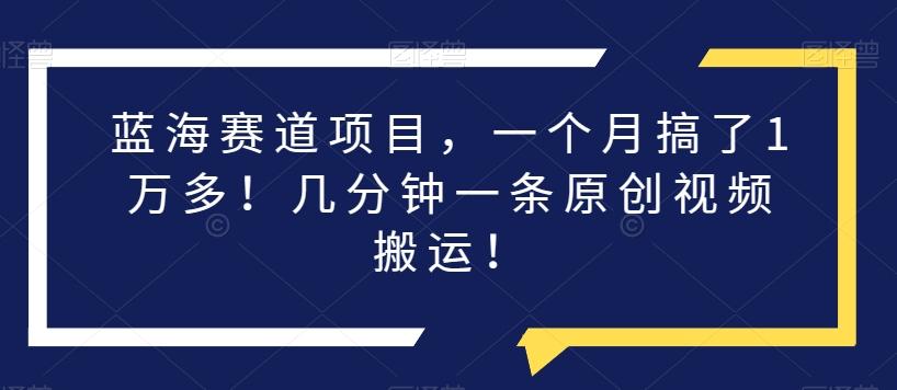 蓝海赛道项目，一个月搞了1万多！几分钟一条原创视频搬运！-氚客吧