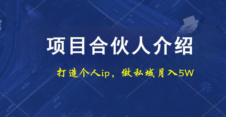 项目合伙人项目，打造个人IP，做私域月入5W，小白勿扰-氚客吧