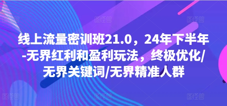 线上流量密训班21.0，24年下半年-无界红利和盈利玩法，终极优化/无界关键词/无界精准人群-氚客吧