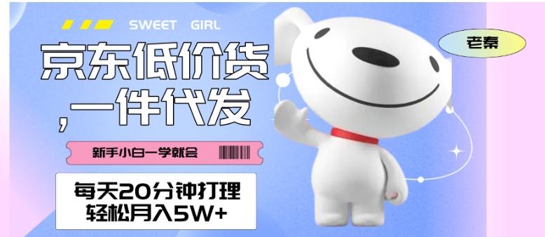 每天20分钟打理京东低价货，一件代发-轻松月入5W＋-氚客吧