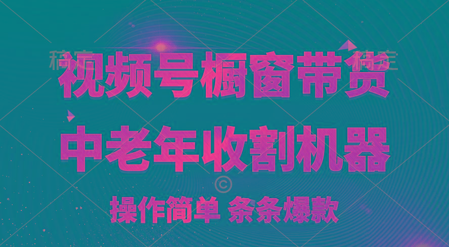 [你的孩子成功取得高位]视频号最火爆赛道，橱窗带货，流量分成计划，条…-氚客吧