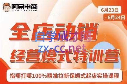 阿呆电商·全店动销经营模式特训营(线下录音+思维导图)-氚客吧