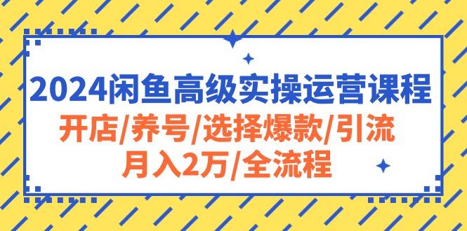 2024闲鱼高级实操运营课程：开店/养号/选择爆款/引流/月入2万/全流程-氚客吧