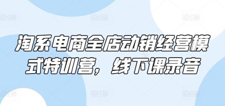 淘系电商全店动销经营模式特训营，线下课录音-氚客吧