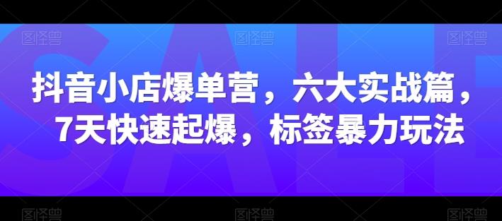 抖音小店爆单营，六大实战篇，7天快速起爆，标签暴力玩法-氚客吧