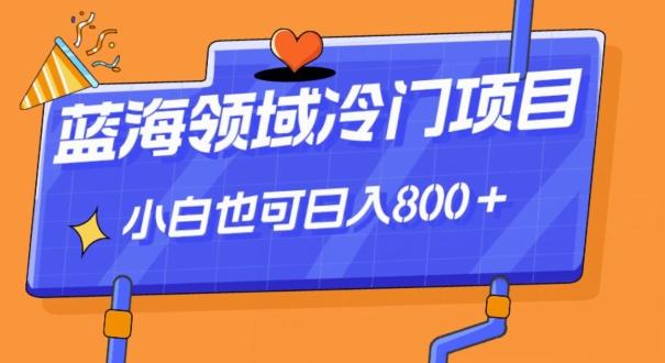 蓝海领域冷门赛道，一单39.9，日入800＋-氚客吧