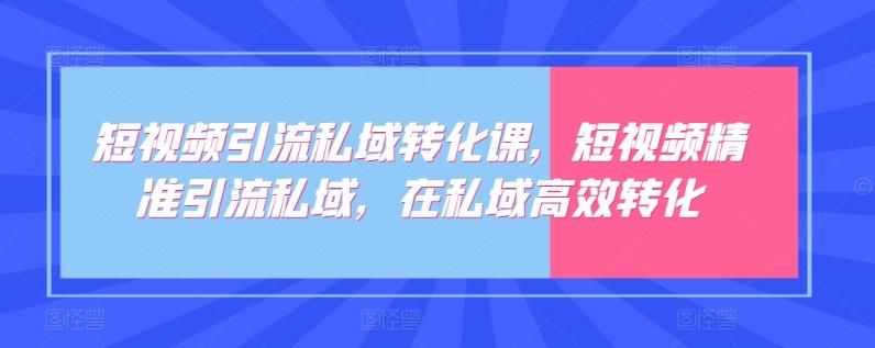 短视频引流私域转化课，短视频精准引流私域，在私域高效转化-氚客吧