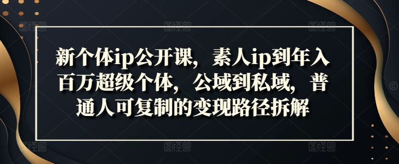 新个体ip公开课，素人ip到年入百万超级个体，公域到私域，普通人可复制的变现路径拆解-氚客吧