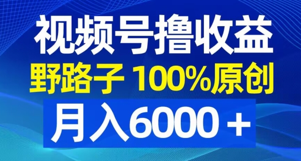 视频号野路子撸收益，100%原创，条条爆款，月入6000＋【揭秘】-氚客吧