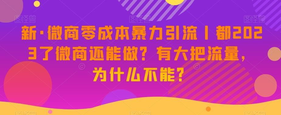 新·微商零成本暴力引流丨都2023了微商还能做？有大把流量，为什么不能？-氚客吧