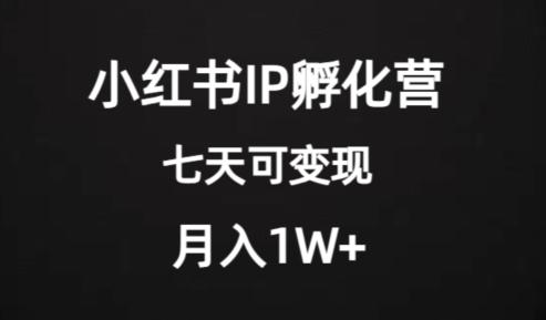 价值2000+的小红书IP孵化营项目，超级大蓝海，七天即可开始变现，稳定月入1W+-氚客吧