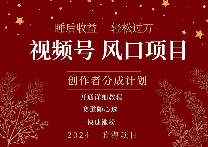 拥有睡眠收益的微信视频号大风口项目，轻松月入过万+，多赛道选择，可…-氚客吧