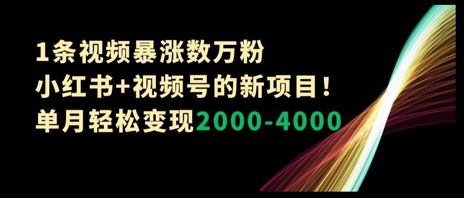 1条视频暴涨数万粉–小红书+视频号的新项目！单月轻松变现2000-4000【揭秘】-氚客吧