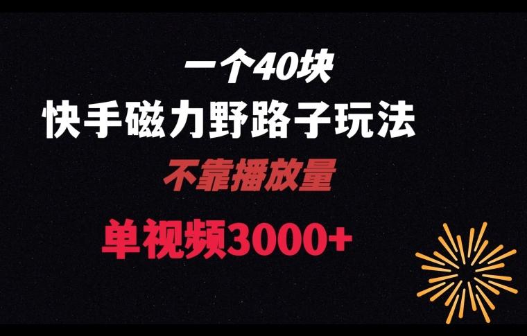 一个40块，快手联合美团磁力新玩法，无视机制野路子玩法，单视频收益4位数【揭秘】-氚客吧