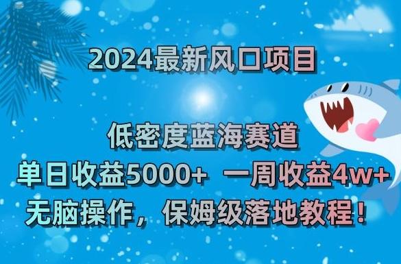 2024最新风口项目，低密度蓝海赛道，单日收益5000+，一周收益4w+！【揭秘】-氚客吧